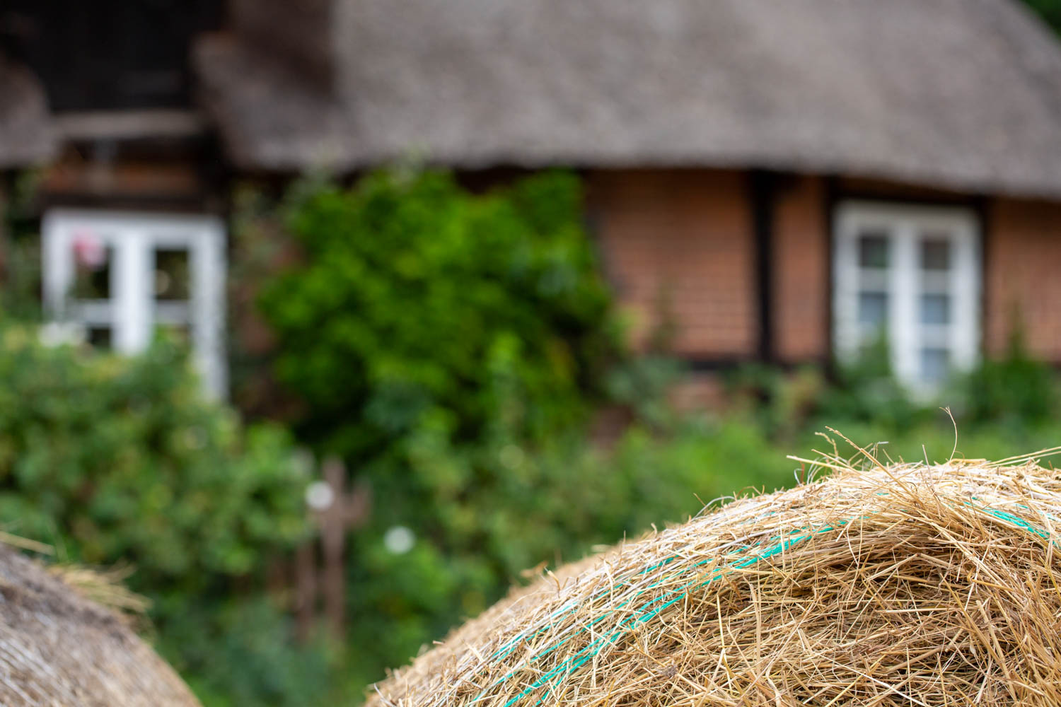 Reetgedecktes Fachwerkhaus mit Strohballen auf dem traditionsreichen Overbeck-Hof in Luhmühlen