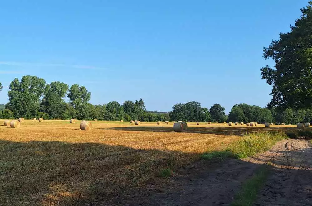 Abgeerntetes Getreidefeld mit Rundballen für unsere Pferde vom Overbeck-Hof