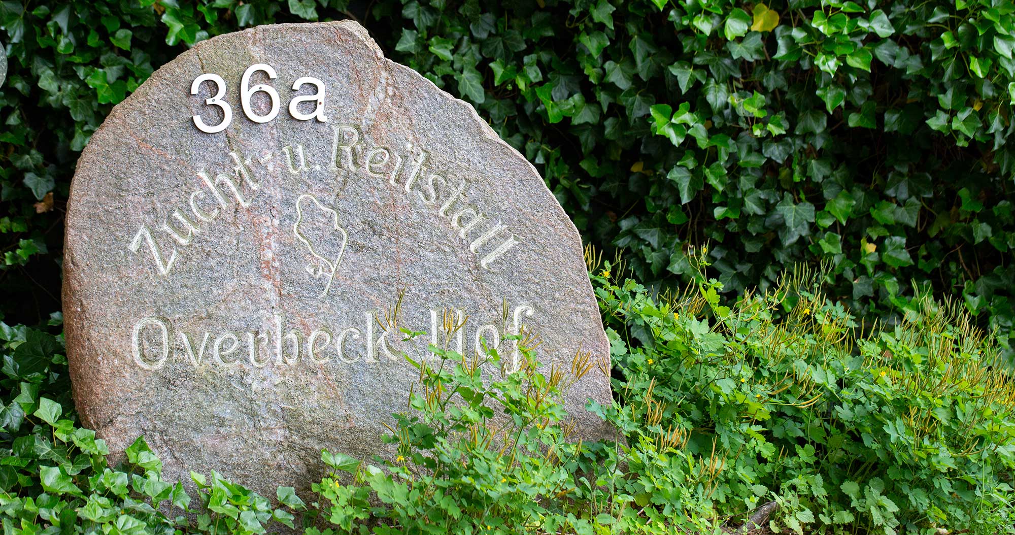 overbeck-hof-luhmuehlen